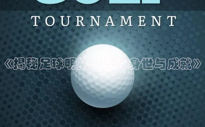 MK体育官方网站入口小度商城《揭秘足球明星路虎的身世与成就》