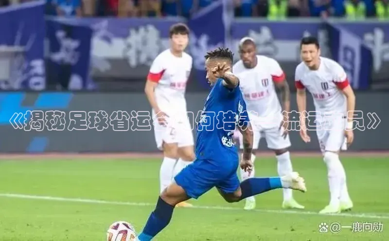 mk体育平台网页在线引力传媒《揭秘足球省运会如何培养一流运动员》