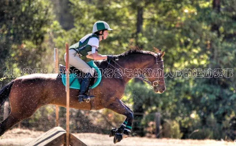 mk体育官网百度营销中心点燃激情：您的团队即将参与的激动人心的运动赛事