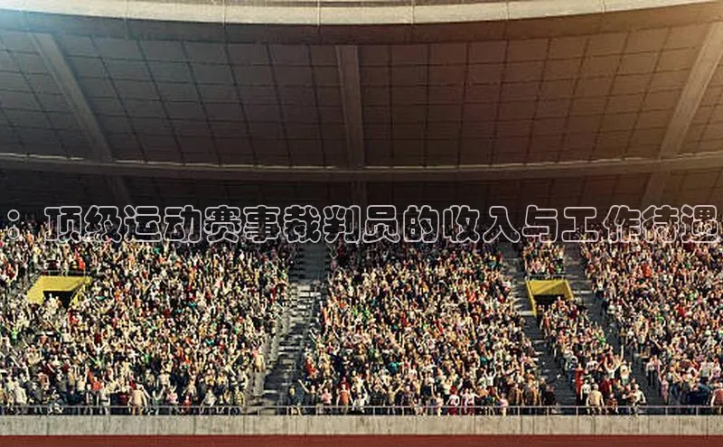 ：顶级运动赛事裁判员的收入与工作待遇