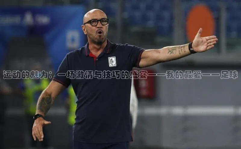 运动的魅力：一场激情与技巧的盛宴——我的最爱——足球