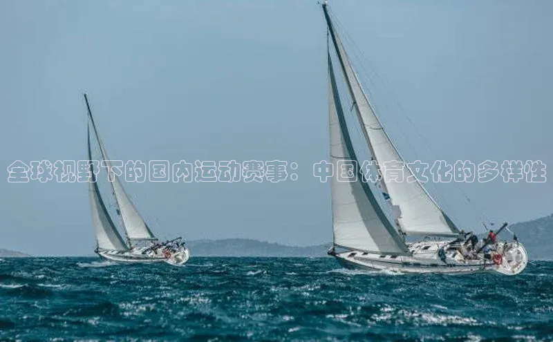 全球视野下的国内运动赛事：中国体育文化的多样性