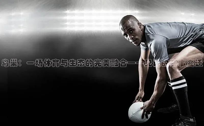 鸟巢：一场体育与生态的完美融合——见证的赛事变迁