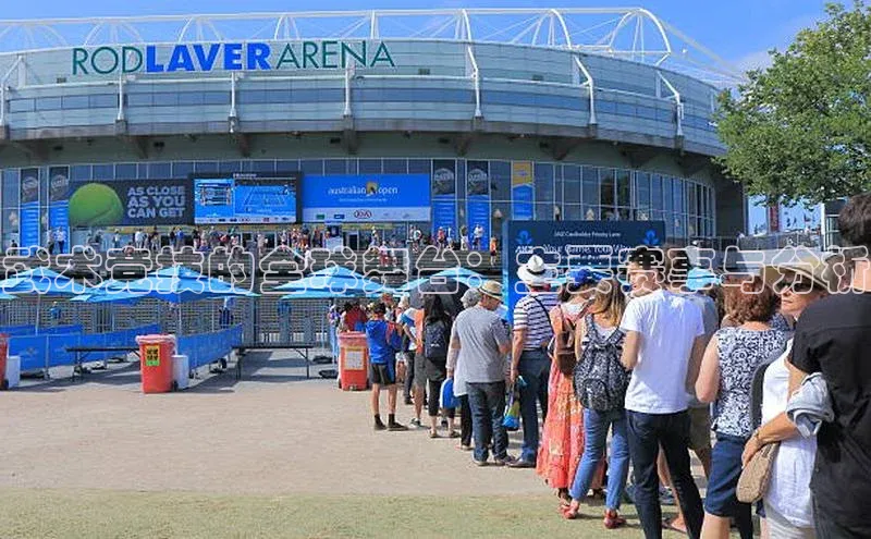 武术竞技的全球舞台：主要赛事与分析