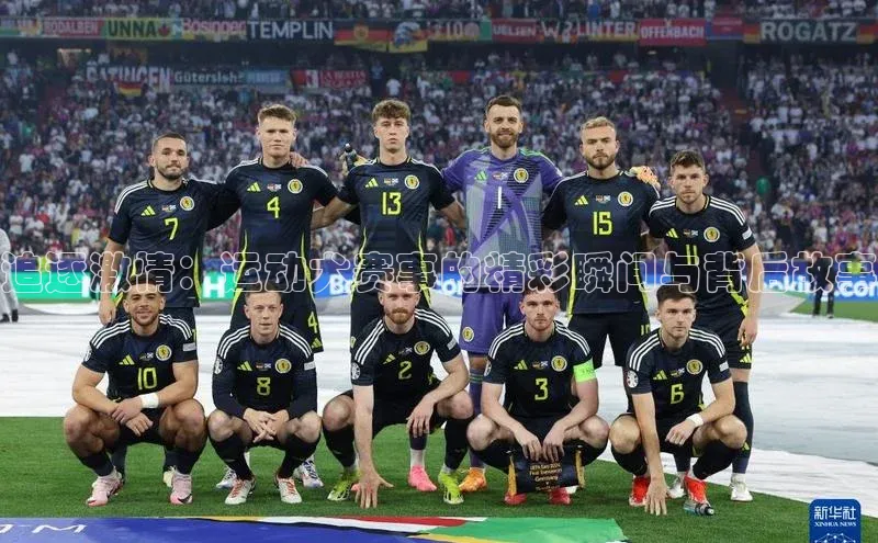 追逐激情：运动犬赛事的精彩瞬间与背后故事