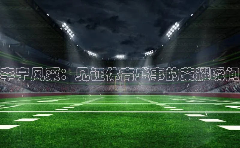 李宁风采：见证体育盛事的荣耀瞬间