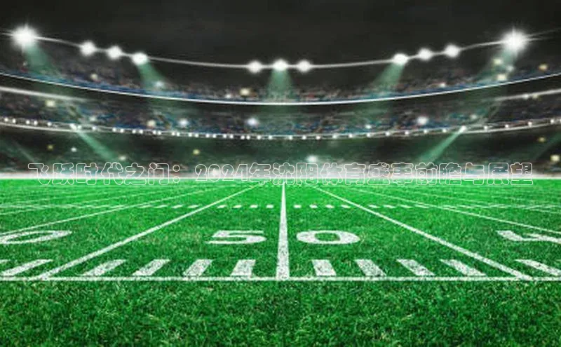 飞跃时代之门：2024年沈阳体育盛事前瞻与展望