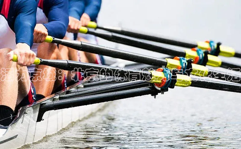 活力京城：北京的体育魅力与文化生活