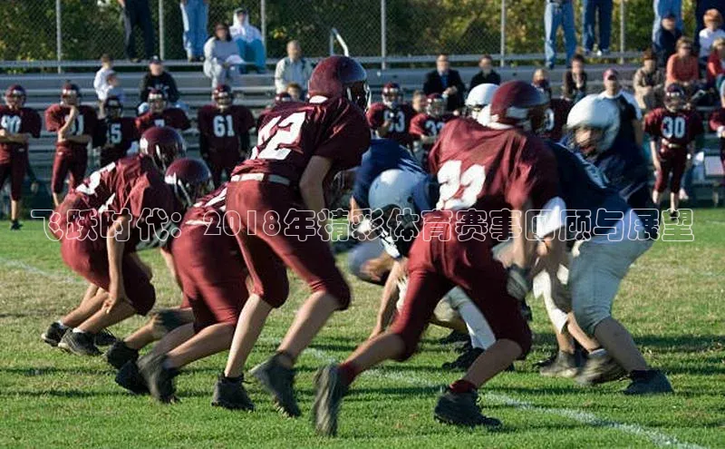 飞跃时代：2018年精彩体育赛事回顾与展望