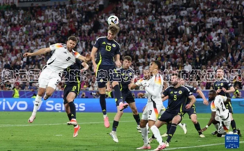 奥运冠军之路：奥运赛事中的顶级运动员