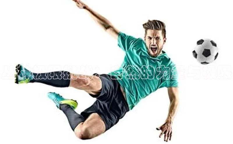 丛林极限挑战：自然的力量与极限