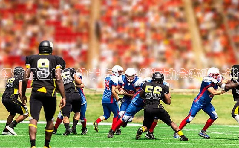 绿茵场上绽放的青春：小学运动会赛事报道