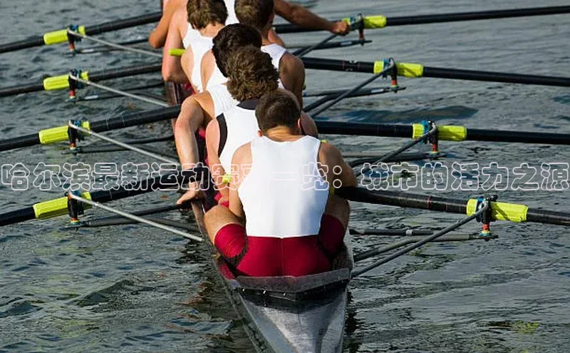 哈尔滨最新运动赛事一览：城市的活力之源
