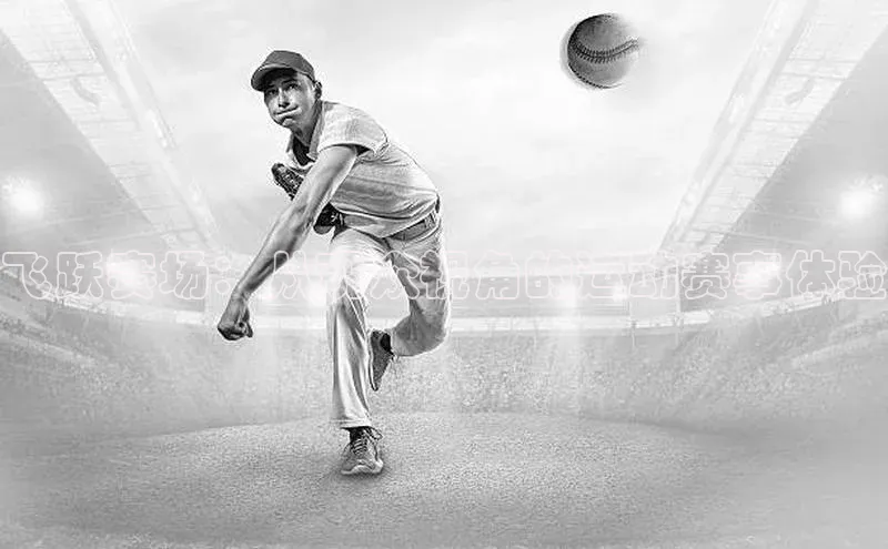 飞跃赛场：从观众视角的运动赛事体验