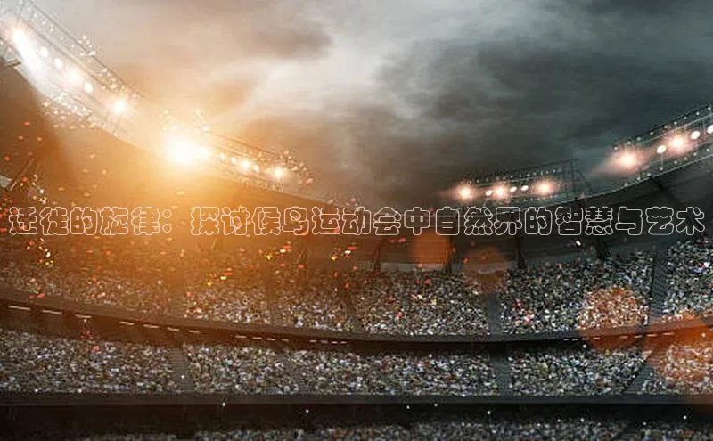 Mksport体育app官网入口