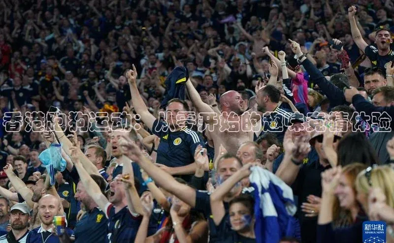 香港跑狗运动：从零开始的趣味竞猜体验