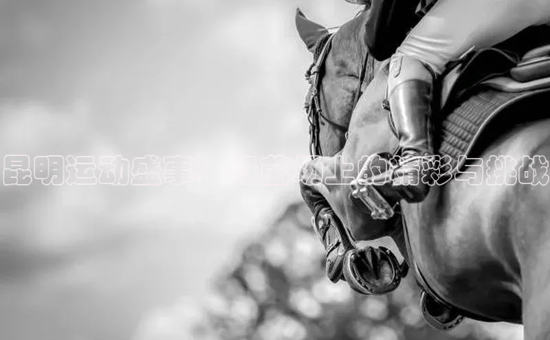 昆明运动盛事：绿茵场上的精彩与挑战