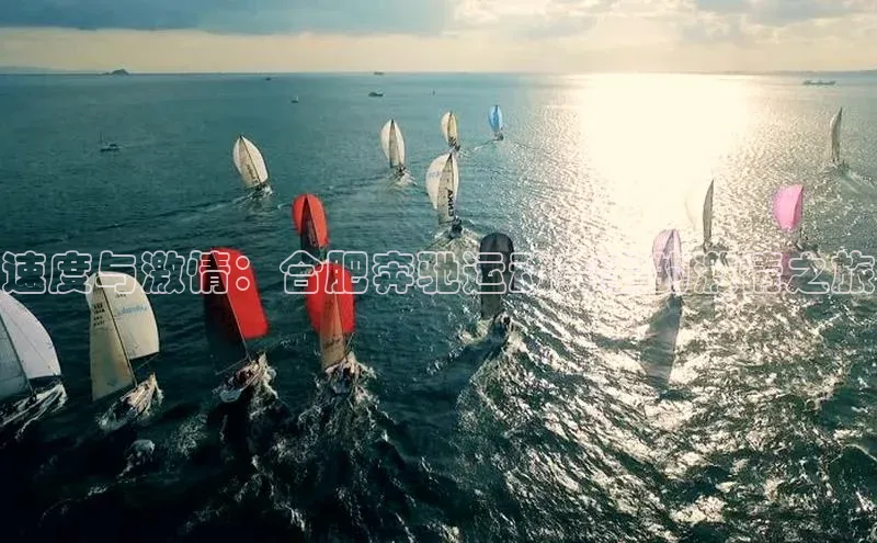 速度与激情：合肥奔驰运动赛事的激情之旅